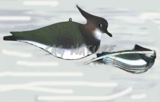 2004003 - PAVONCELLA SILHOUETTE 55-00 SPORTPLAST