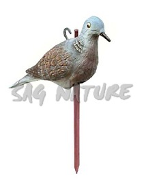 2004011 - TORTORA EUROPEA E ASTA VENTO DIREZIONALE STD 239 SPORTPLAST