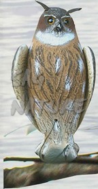 2004019 - GUFO REALE 51 CM ALI BATTENTI 87-00 SPORTPLAST