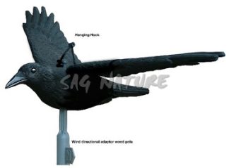 2007007 - CORVO IN VOLO CON SISTEMA VENTO DIREZIONALE FLCR 30-10 SPORTPLAST