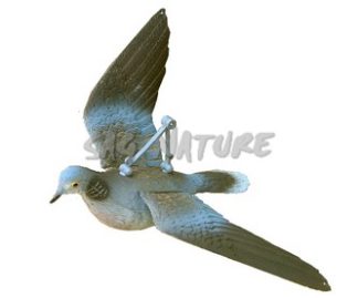 2007009 - TORTORA EUROPEA IN VOLO CON SISTEMA VENTO DIREZIONALE FL 239 SPORTPLAST