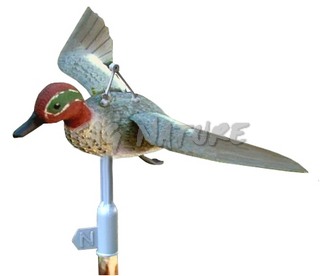 2007011 - ALZAVOLA FEMMINA IN VOLO CON SISTEMA VENTO DIREZIONALE FL 21 SPORTPLAST