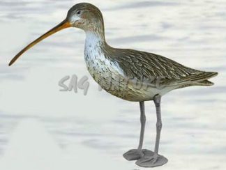 2008005 - CHIURLO CON GAMBE 28-00 SPORTPLAST