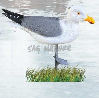 2008010 - GABBIANO IN PIEDI SG 1100 SPORTPLAST