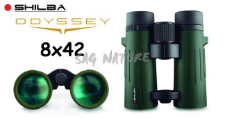 6101006 - BINOCOLO ODYSSEY 8X42 - RIEMPIMENTO DI AZOTO E LENTI MADE IN JAPAN - SHILBA - 152085