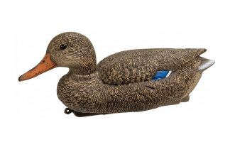 1713001 - GERMANO FEMMINA 7315 - STAMPISAG