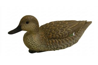 1713003 - ALZAVOLA FEMMINA 7355 - STAMPISAG