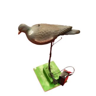 1713012 - COLOMBACCIO BECCANTE ALIM. 6 VOLT MD-004 - STAMPISAG