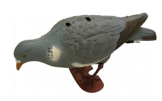 1713018 - COLOMBACCIO BECCANTE 7817S - STAMPISAG