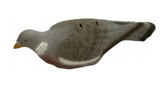 1713019 - COLOMBACCIO  A CONCHIGLIA - 7732 STAMPISAG