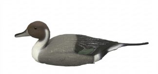 1713036 - CODONE MASCHIO 78295-RA - STAMPISAG