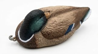 1713043 - GERMANO MASCHIO A RIPOSO 78240