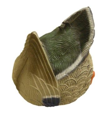 1713045 - GERMANO FEMMINA CON TESTA SOTT'ACQUA 78272