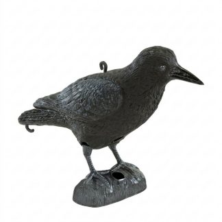 1713068 - CORVO NERO - STAMPISAG