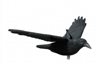 1713075 - CORVO IN VOLO - STAMPISAG