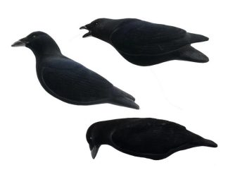 1713092 - SET CORVO FLOCKED - CONFEZIONE 3 PEZZI - FINAL APPROACH - FA194002