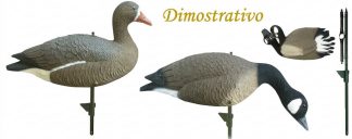 2002009 - OCA GRANAIOLA A CONCHIGLIA A UN PEZZO SH1P150 SPORTPLAST