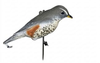 2003005 - TORDO SASSELLO 51-00 SPORTPLAST