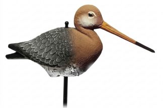 2003007 - PITTIMA REALE 29-00 SPORTPLAST