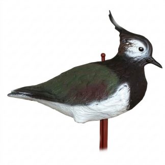 2003008 - PAVONCELLA 36-00SG SPORTPLAST