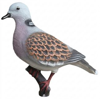 2003017 - TORTORA 5640 SPORTPLAST