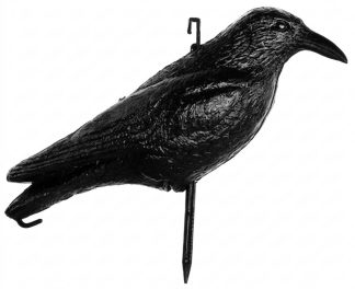 2003019 - CORVO ECONOMICO LC750 SPORTPLAST