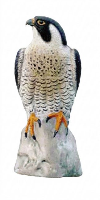 2004020 - FALCO PELLEGRINO 7625 SPORTPLAST