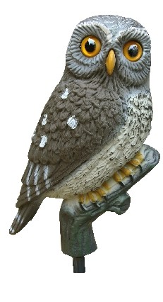 2004021 - CIVETTA 23 CM POSATA FISSA LOW 74-00 SPORTPLAST