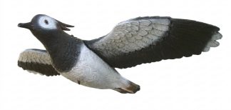 2007005 - PAVONCELLA IN VOLO CON SISTEMA VENTO DIREZIONALE 84-00 SPORTPLAST