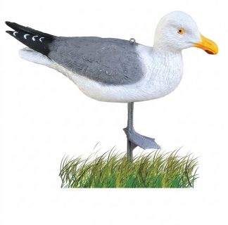 2008010 - GABBIANO IN PIEDI SG 1100 SPORTPLAST