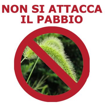 2901120 - PANTALONE SIRIO IN TESSUTO ELASTICIZZATO E KEVLAR - SFODERATO - TG 44 ALLA TG 64 - LA NUOVA REGINA - immagine 6