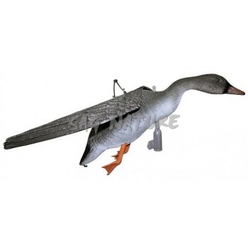 2007020 - OCA GRANAIOLA IN VOLO - FL 1050 - SPORT PLAST