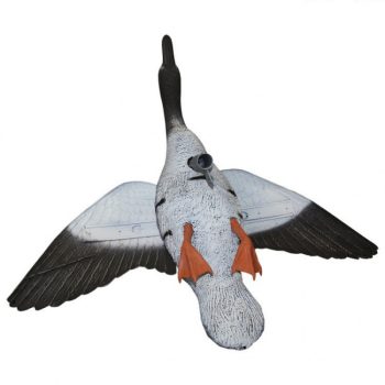 2007020 - OCA GRANAIOLA IN VOLO - FL 1050 - SPORT PLAST - immagine 2