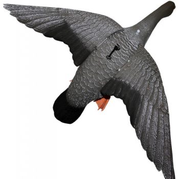 2007020 - OCA GRANAIOLA IN VOLO - FL 1050 - SPORT PLAST - immagine 4
