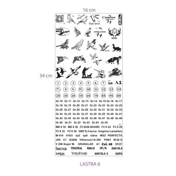 3301049 - LASTRA TIMBRI 1,2,3,4,5,6 - GAEP - immagine 6