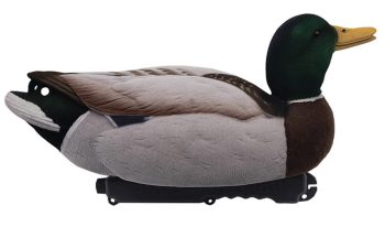 1713087 - SET GERMANO FLOCKED MASCHIO E FEMMINA - CONFEZIONE DA 6 PEZZI - STAMPO 43 CM - FINAL APPROACH FA192350 - immagine 2