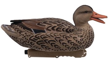 1713087 - SET GERMANO FLOCKED MASCHIO E FEMMINA - CONFEZIONE DA 6 PEZZI - STAMPO 43 CM - FINAL APPROACH FA192350 - immagine 4