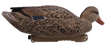 1713087 - SET GERMANO FLOCKED MASCHIO E FEMMINA - CONFEZIONE DA 6 PEZZI - STAMPO 43 CM - FINAL APPROACH FA192350 - immagine 5