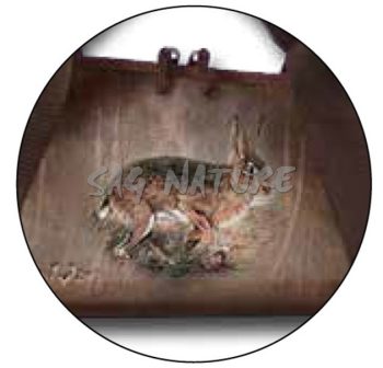 1704006 - FODERO PER FUCILE IMPERMEABILE IMBOTTITO EFFETTO "VELLUTO"  - M358-1585 - 130x5x20 CM - LEPRE - immagine 2