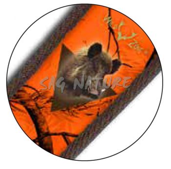 1704008 - BRETELLA/CINGHIA ORANGE DA CARABINA IN CUOIO CON IMBOTTITURA IN NEOPRENE - CM 98 - M264-1643 - CINGHIALE - immagine 2