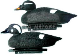 2001027 - ORCO MARINO FEMMINA 38 CM STD95 SPORTPLAST - STAMPO MARINO