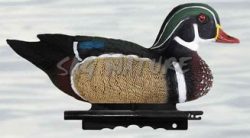 2001050 - ANITRA SPOSA MASCHIO  STD117 SPORTPLAST