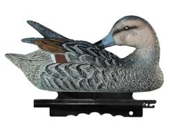 2001058 - CODONE FEMMINA IN PULIZIA PR 04  SPORTPLAST