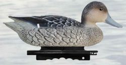 2001060 - CODONE FEMMINA SERIE ECONOMICA LC 04 SPORTPLAST