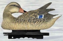 2001061 - GERMANO MASCHIO IN PULIZIA PR 01 SPORTPLAST