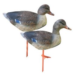 2004006 - GERMANO FEMMINA A CONCHIGLIA IM 02 SPORTPLAST- SCOCCA IMPILABILE