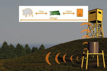 0801002 - KIT SISTEMA DI RILEVAMENTO DEL MOVIMENTO CON SENSORE - HUNTING ALARM 2 - CINGHIALE ED ALTRI UNGULATI - immagine 2