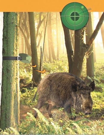 0801002 - KIT SISTEMA DI RILEVAMENTO DEL MOVIMENTO CON SENSORE - HUNTING ALARM 2 - CINGHIALE ED ALTRI UNGULATI - immagine 3