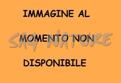 0901296 - 2029LXP VALIGETTA IN ABS PER PISTOLA INTERNO SAGOMATO IN VELLUTO E FINITURE PELLE  - CM 32X19X7,5 - NEGRINI