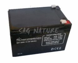 0801047 - BATTERIA A SECCO AL PIOMBO 12V - 12Ah - VARI MARCHE